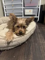 processed/f9629fbc-2bde-454c-b203-f0b69c41f01c/listing/d7fba409-76c2-4659-9bcf-cfc1548dd8f6/36e33bf3-b494-4a94-898a-7f35d6fc0852