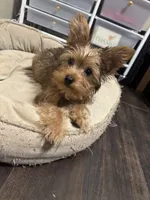 processed/f9629fbc-2bde-454c-b203-f0b69c41f01c/listing/d7fba409-76c2-4659-9bcf-cfc1548dd8f6/3bdd5d3a-cf1a-48a5-8dc2-78bb1dbd2f6c