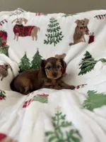 processed/f9629fbc-2bde-454c-b203-f0b69c41f01c/listing/d7fba409-76c2-4659-9bcf-cfc1548dd8f6/4d2ba996-6354-47a8-b75f-e97e3a07088c