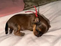 processed/f9629fbc-2bde-454c-b203-f0b69c41f01c/listing/d7fba409-76c2-4659-9bcf-cfc1548dd8f6/506c4528-4e5b-4a1d-b96a-f1649ef45965