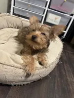 processed/f9629fbc-2bde-454c-b203-f0b69c41f01c/listing/d7fba409-76c2-4659-9bcf-cfc1548dd8f6/6e3c1d14-968f-4fa0-848d-18dd4e4a8722