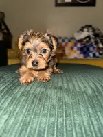 processed/f9629fbc-2bde-454c-b203-f0b69c41f01c/listing/d7fba409-76c2-4659-9bcf-cfc1548dd8f6/90df4174-b6a2-4837-9ee3-e093951999b9