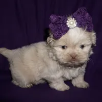 processed/f96747b5-3f17-4238-835e-7cedb4a76c24/facility/03b95dea-08b8-42fb-94e8-cb8561d88ba9