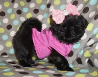 processed/f96747b5-3f17-4238-835e-7cedb4a76c24/facility/24e65aa1-e897-4fe2-93c5-66fec77fd16d