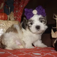 processed/f96747b5-3f17-4238-835e-7cedb4a76c24/facility/2e4442ee-72c0-48bf-8841-c6c6a2a98485