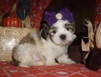 processed/f96747b5-3f17-4238-835e-7cedb4a76c24/facility/2e4442ee-72c0-48bf-8841-c6c6a2a98485