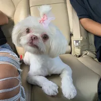 processed/f96747b5-3f17-4238-835e-7cedb4a76c24/facility/38144b52-2bb4-4743-9ed3-a70dfd4e2a1a