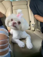 processed/f96747b5-3f17-4238-835e-7cedb4a76c24/facility/38144b52-2bb4-4743-9ed3-a70dfd4e2a1a