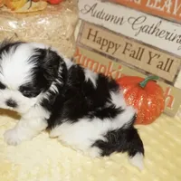 processed/f96747b5-3f17-4238-835e-7cedb4a76c24/facility/43336e69-0973-4671-8b82-7984dc604028