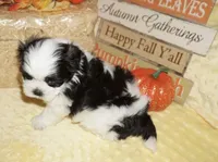 processed/f96747b5-3f17-4238-835e-7cedb4a76c24/facility/43336e69-0973-4671-8b82-7984dc604028