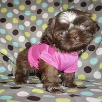 processed/f96747b5-3f17-4238-835e-7cedb4a76c24/facility/4dd7dabb-e3fa-4294-8e48-75f996adea3b