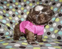 processed/f96747b5-3f17-4238-835e-7cedb4a76c24/facility/4dd7dabb-e3fa-4294-8e48-75f996adea3b