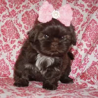 processed/f96747b5-3f17-4238-835e-7cedb4a76c24/facility/892c3f31-169d-4ccf-8686-77c001c8a5b8