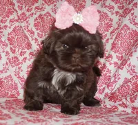 processed/f96747b5-3f17-4238-835e-7cedb4a76c24/facility/892c3f31-169d-4ccf-8686-77c001c8a5b8