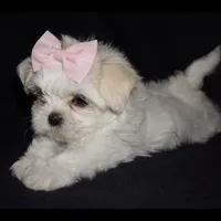 processed/f96747b5-3f17-4238-835e-7cedb4a76c24/facility/8ed52e2e-7658-4604-bede-cd231e16b7a1