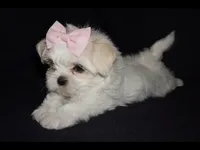 processed/f96747b5-3f17-4238-835e-7cedb4a76c24/facility/8ed52e2e-7658-4604-bede-cd231e16b7a1