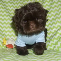 processed/f96747b5-3f17-4238-835e-7cedb4a76c24/facility/c00296af-c513-4aa5-8ba9-0216b132f957