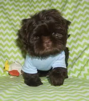 processed/f96747b5-3f17-4238-835e-7cedb4a76c24/facility/c00296af-c513-4aa5-8ba9-0216b132f957