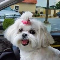 processed/f96747b5-3f17-4238-835e-7cedb4a76c24/facility/ef9e4cfc-5dc3-49e1-8434-23c3f88c3e4e