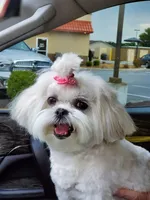 processed/f96747b5-3f17-4238-835e-7cedb4a76c24/facility/ef9e4cfc-5dc3-49e1-8434-23c3f88c3e4e