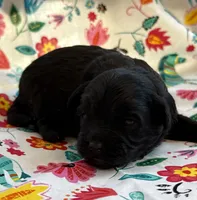 processed/f96747b5-3f17-4238-835e-7cedb4a76c24/listing/171e48f1-c319-46b8-b4ee-48d1415c2340/136671b3-b5b1-4f84-9885-957a8bda5d16