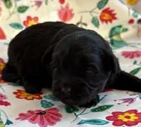 processed/f96747b5-3f17-4238-835e-7cedb4a76c24/listing/171e48f1-c319-46b8-b4ee-48d1415c2340/167bc584-cdd6-43fb-b509-fbe03bce7ad2