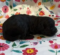 processed/f96747b5-3f17-4238-835e-7cedb4a76c24/listing/171e48f1-c319-46b8-b4ee-48d1415c2340/765f4fe9-7253-4b61-a5c7-b8af531ad7e0