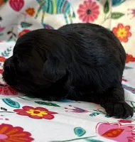 processed/f96747b5-3f17-4238-835e-7cedb4a76c24/listing/171e48f1-c319-46b8-b4ee-48d1415c2340/b86df059-4e3d-438e-96d2-b90d2417f4ca