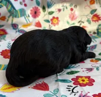 processed/f96747b5-3f17-4238-835e-7cedb4a76c24/listing/171e48f1-c319-46b8-b4ee-48d1415c2340/d5692744-d0b2-4618-97bf-044c2f9ea978