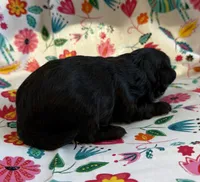 processed/f96747b5-3f17-4238-835e-7cedb4a76c24/listing/171e48f1-c319-46b8-b4ee-48d1415c2340/fe8b3503-4c6b-4b65-b9ca-932cc45fe4fb