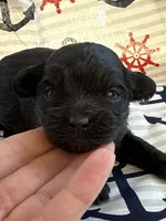 processed/f96747b5-3f17-4238-835e-7cedb4a76c24/listing/847f5c05-c581-486d-95b1-5cf8b1936a38/02eb8109-ad8b-4147-8fb1-34b55dbd9c9b