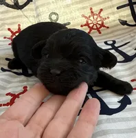 processed/f96747b5-3f17-4238-835e-7cedb4a76c24/listing/847f5c05-c581-486d-95b1-5cf8b1936a38/09652f86-5312-46ab-8021-fa958caf421c