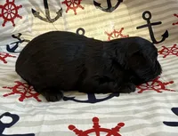 processed/f96747b5-3f17-4238-835e-7cedb4a76c24/listing/847f5c05-c581-486d-95b1-5cf8b1936a38/1b4b76f6-9621-41f4-b057-a38d8d15a7d2