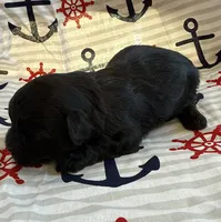 processed/f96747b5-3f17-4238-835e-7cedb4a76c24/listing/847f5c05-c581-486d-95b1-5cf8b1936a38/54e29993-906a-47ac-bd00-fdb3f355d0d4