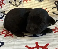 processed/f96747b5-3f17-4238-835e-7cedb4a76c24/listing/847f5c05-c581-486d-95b1-5cf8b1936a38/b255f621-f5fb-4134-94d4-6a5e99f921a5