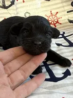 processed/f96747b5-3f17-4238-835e-7cedb4a76c24/listing/847f5c05-c581-486d-95b1-5cf8b1936a38/e5721b76-7cc3-4dc0-a1ca-c1385d79f4cb