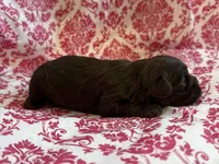 processed/f96747b5-3f17-4238-835e-7cedb4a76c24/listing/c0488cfe-7b92-43af-98ae-53ef4c7a8f04/4166161c-5567-4267-8375-e679a640ddd1