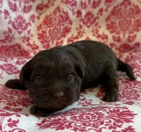 processed/f96747b5-3f17-4238-835e-7cedb4a76c24/listing/c0488cfe-7b92-43af-98ae-53ef4c7a8f04/545c93bb-6b66-43a4-a6b0-23c7a8716750