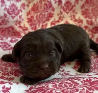 processed/f96747b5-3f17-4238-835e-7cedb4a76c24/listing/c0488cfe-7b92-43af-98ae-53ef4c7a8f04/5d2b9081-e83a-4954-9cb7-8a6eadac6a59