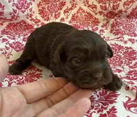 processed/f96747b5-3f17-4238-835e-7cedb4a76c24/listing/c0488cfe-7b92-43af-98ae-53ef4c7a8f04/636c1a7a-3757-4965-9d91-1a0cde5f2e64