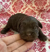 processed/f96747b5-3f17-4238-835e-7cedb4a76c24/listing/c0488cfe-7b92-43af-98ae-53ef4c7a8f04/9e7bc9a9-8a0b-48dd-b9cf-0d6461d487a2