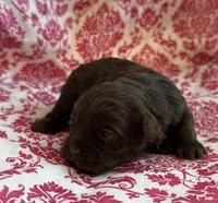 processed/f96747b5-3f17-4238-835e-7cedb4a76c24/listing/c0488cfe-7b92-43af-98ae-53ef4c7a8f04/d437a71b-f7ad-40c7-9849-b3df633604de