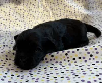 processed/f96747b5-3f17-4238-835e-7cedb4a76c24/listing/f6b9368f-8d54-44f1-b784-03ca9849fff3/14833e06-1f1b-4309-8431-216cfc2ff067