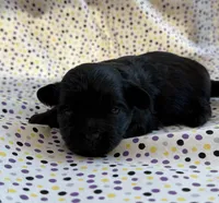 processed/f96747b5-3f17-4238-835e-7cedb4a76c24/listing/f6b9368f-8d54-44f1-b784-03ca9849fff3/353c400b-05ef-48a5-8f46-01351656a82a