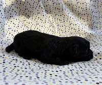 processed/f96747b5-3f17-4238-835e-7cedb4a76c24/listing/f6b9368f-8d54-44f1-b784-03ca9849fff3/3f4500e0-5cc4-49f8-adf4-60116643faa2