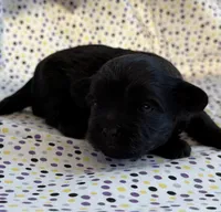 processed/f96747b5-3f17-4238-835e-7cedb4a76c24/listing/f6b9368f-8d54-44f1-b784-03ca9849fff3/59d2cc65-ae6a-467b-9e56-29413880fb18