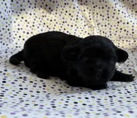 processed/f96747b5-3f17-4238-835e-7cedb4a76c24/listing/f6b9368f-8d54-44f1-b784-03ca9849fff3/5e22a98f-35d2-402d-91a2-a50f555b3012