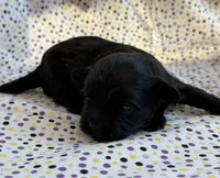 processed/f96747b5-3f17-4238-835e-7cedb4a76c24/listing/f6b9368f-8d54-44f1-b784-03ca9849fff3/6ec22a74-3fc4-4cba-940d-fc49776b5675