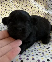 processed/f96747b5-3f17-4238-835e-7cedb4a76c24/listing/f6b9368f-8d54-44f1-b784-03ca9849fff3/c8768e6b-5fe8-43f9-96cd-1e15f32a20af