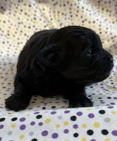 processed/f96747b5-3f17-4238-835e-7cedb4a76c24/listing/f6b9368f-8d54-44f1-b784-03ca9849fff3/d77a100b-0565-4a63-9efe-d32ba6bb054b